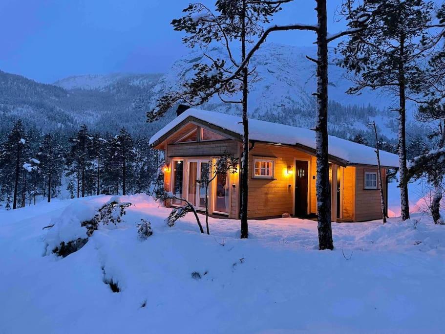 Cosy Between And Mountain * Treungen